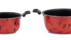 Bis Casseruole 20 e 24 cm - spessore 1 cm - ItalCook Linea Eco Cooking